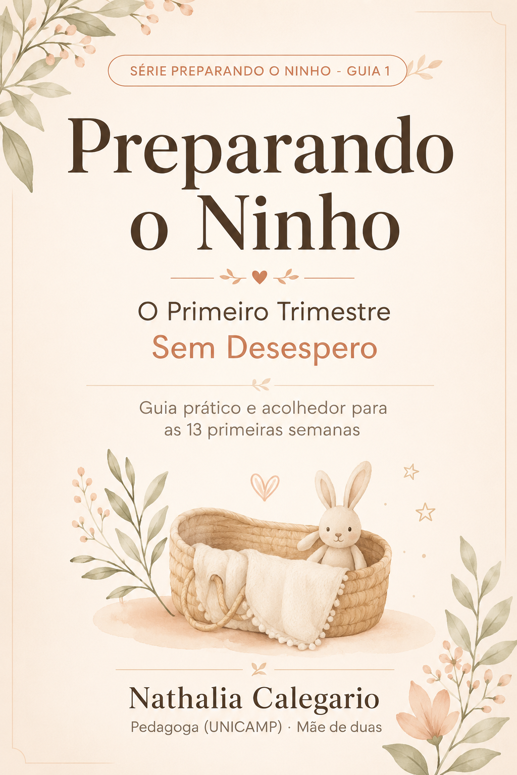 Preparando o Ninho: O primeiro trimestre sem desespero (Vol. 1)